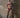 Siren Brief